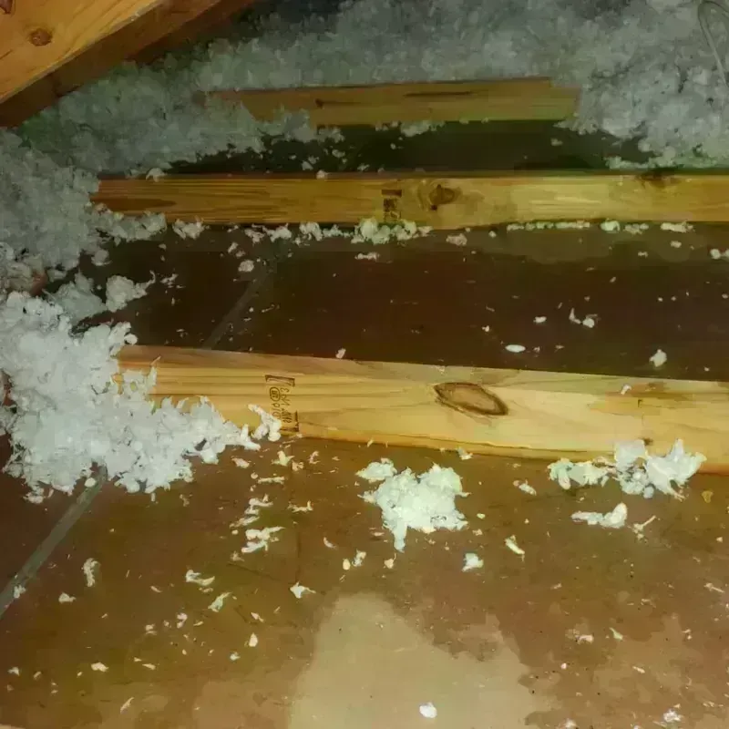 Attic Water Damage in North Bath, ME